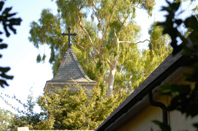 The Church of Our Saviour